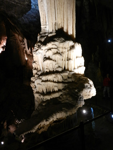 DSCN8721.JPG