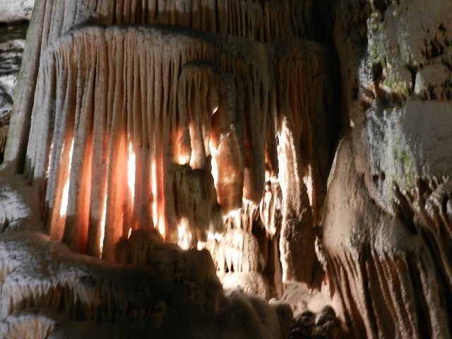 DSCN8727.JPG