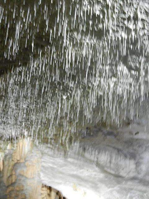 DSCN8667.JPG