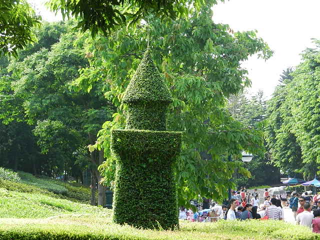 DSCN7942.JPG