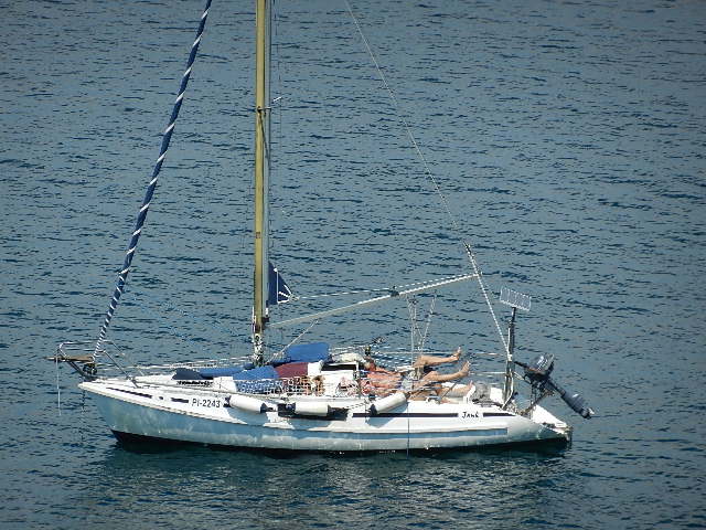 DSCN8813.JPG