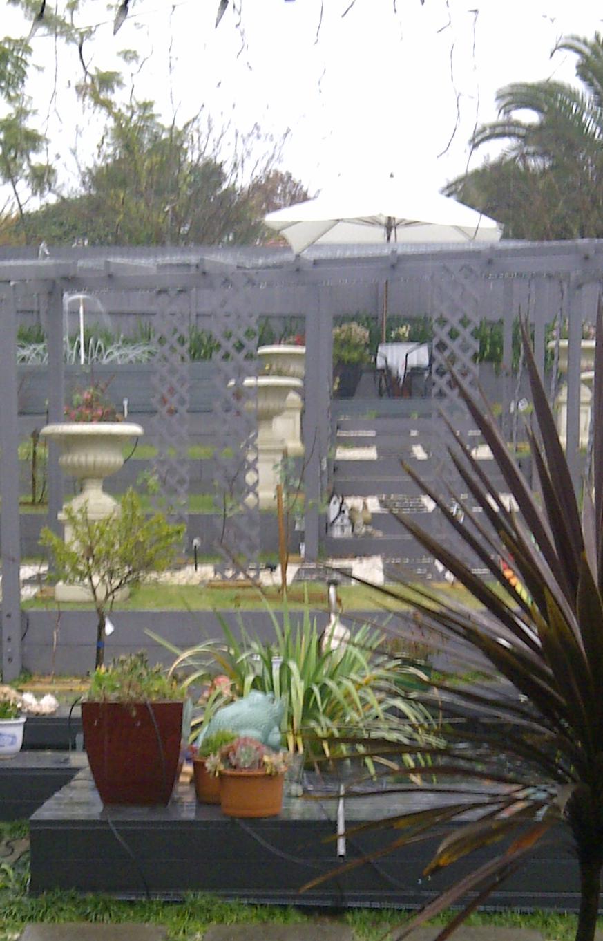 Backyard-0611-1.jpg