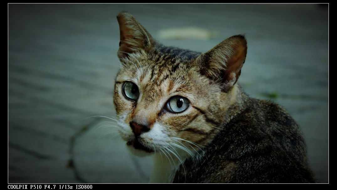 DSCN1064.jpg
