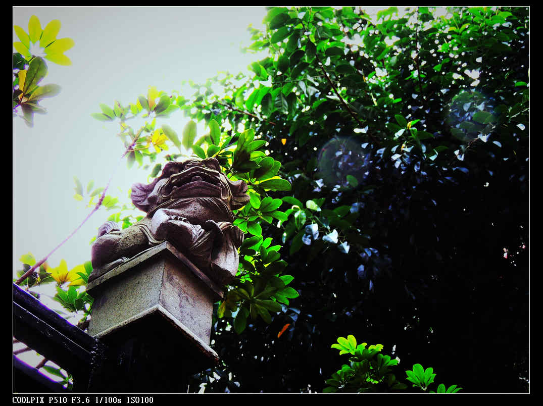 DSCN0898.jpg