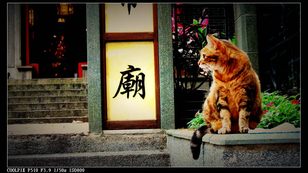 DSCN0922.jpg