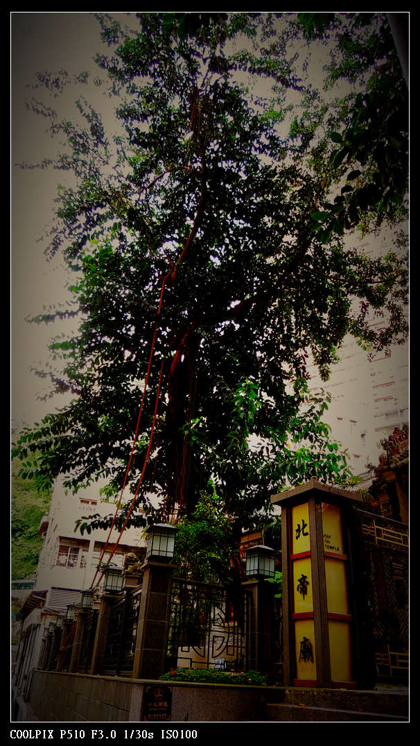 DSCN0928.jpg