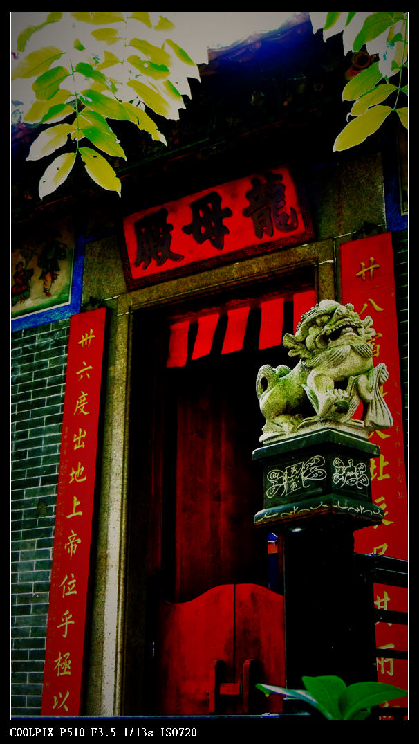 DSCN0941.jpg