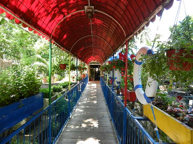DSCN0919.JPG