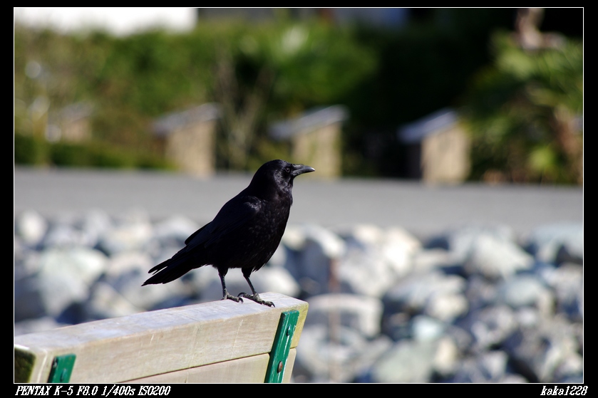 nEO_IMG_IMGP0391.jpg