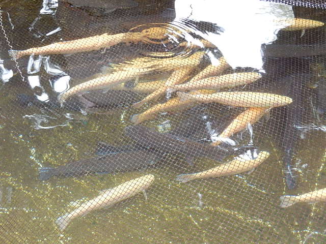 DSCN1131.JPG