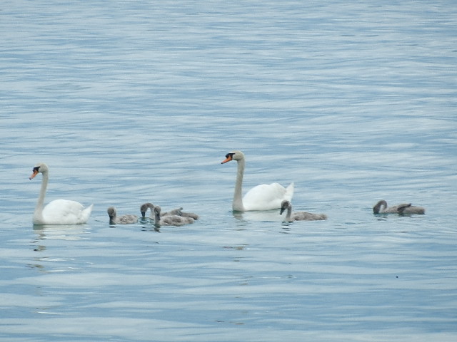 DSCN1202.JPG