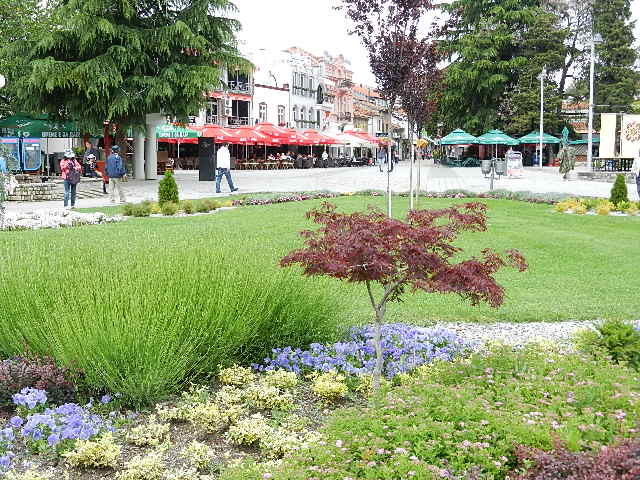 DSCN1208.JPG