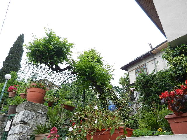DSCN1184.JPG