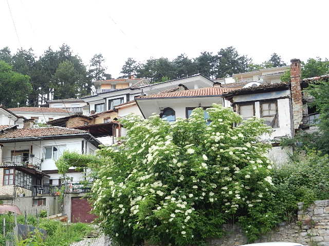 DSCN1185.JPG