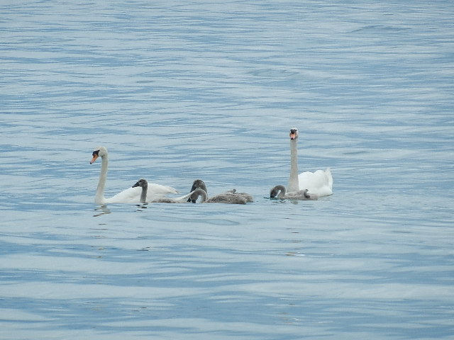 DSCN1203.JPG