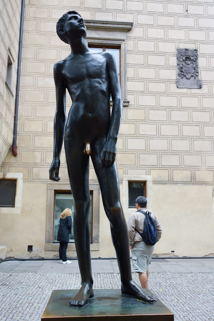 DSC01412.jpg