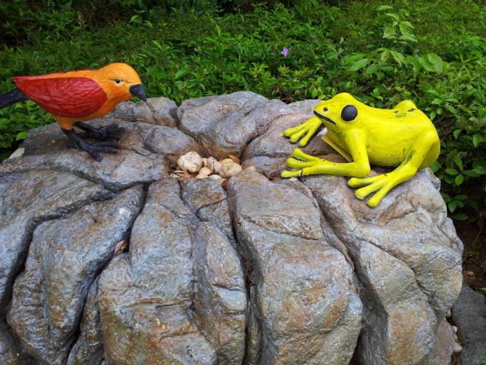 20120601_150534.jpg