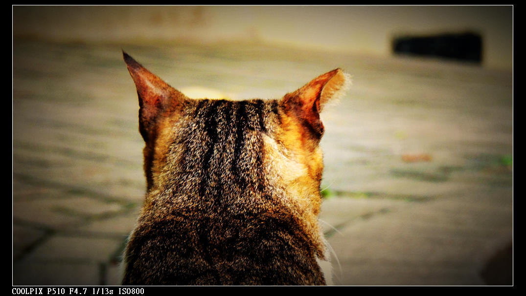 DSCN1061.jpg