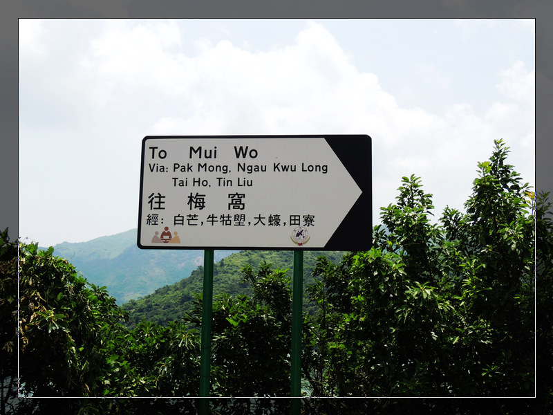 DSCN1710.jpg