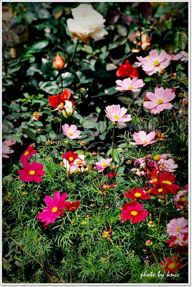 KODAK E100VS 201203 008.jpg
