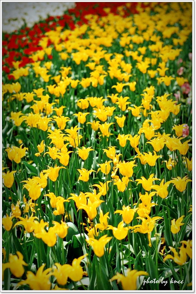 KODAK E100VS 201203 013.jpg