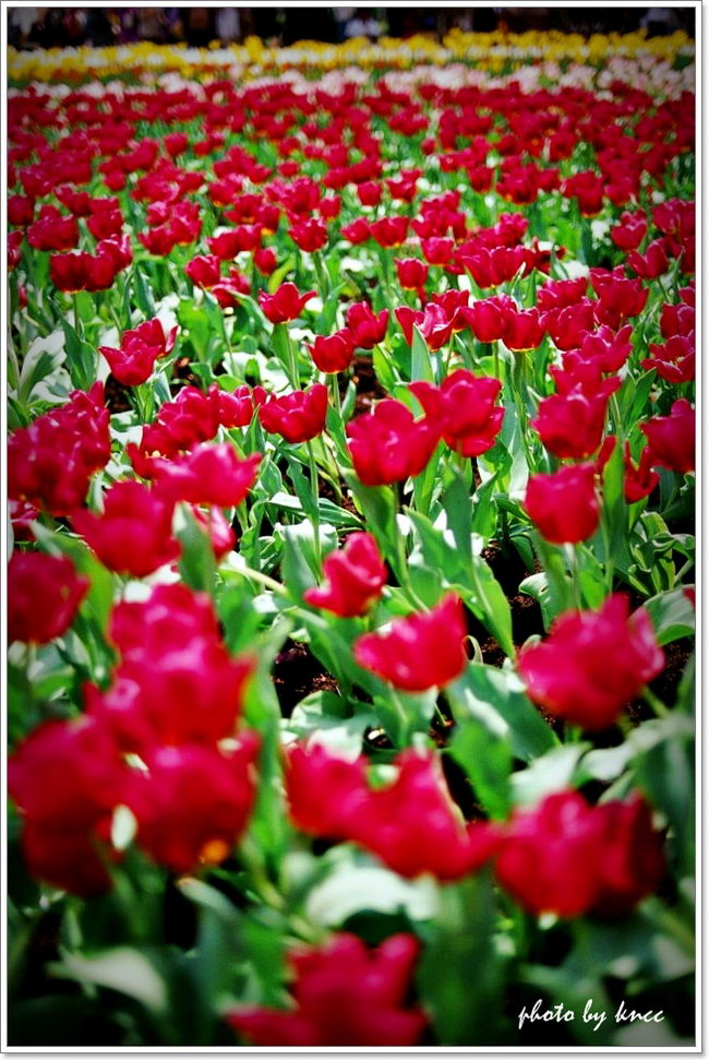 KODAK E100VS 201203 015.jpg