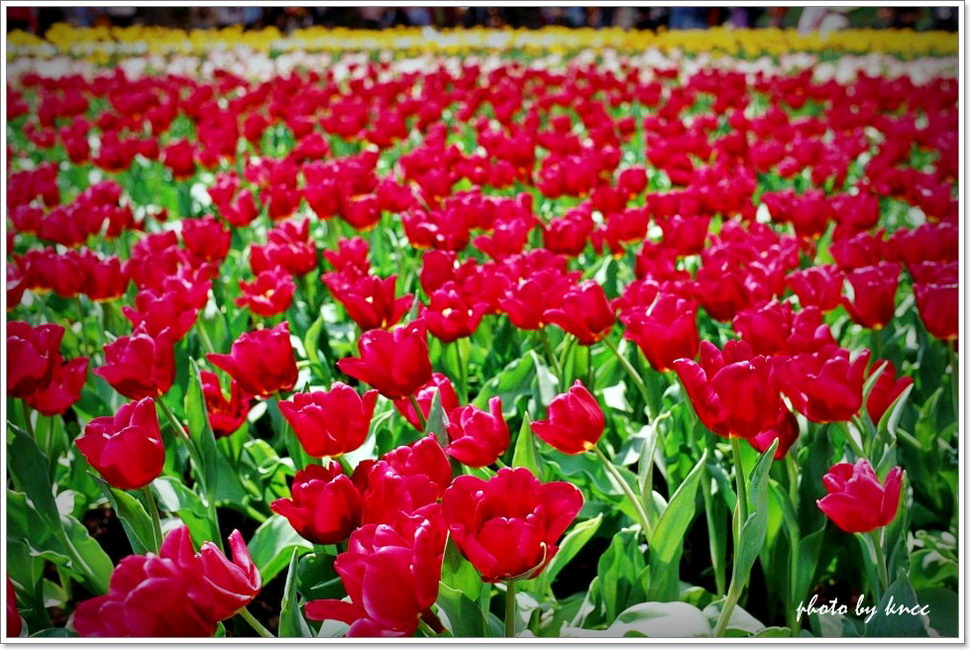 KODAK E100VS 201203 016.jpg