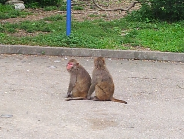 20120529_145650.jpg