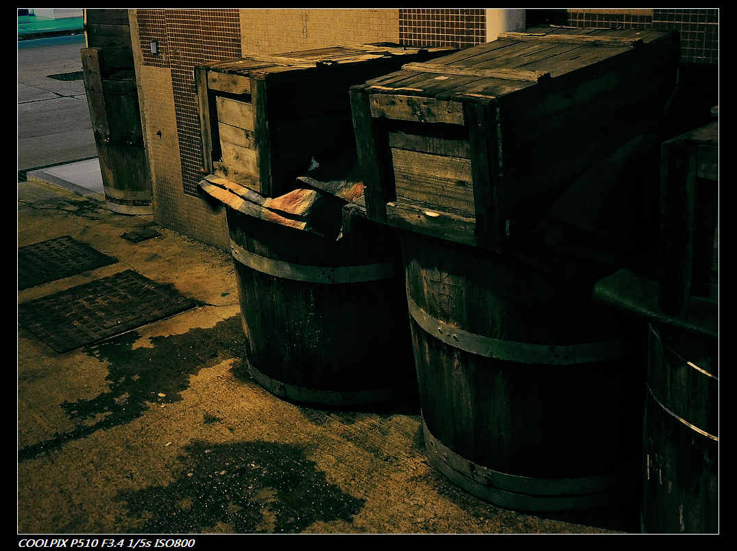 DSCN1331.jpg