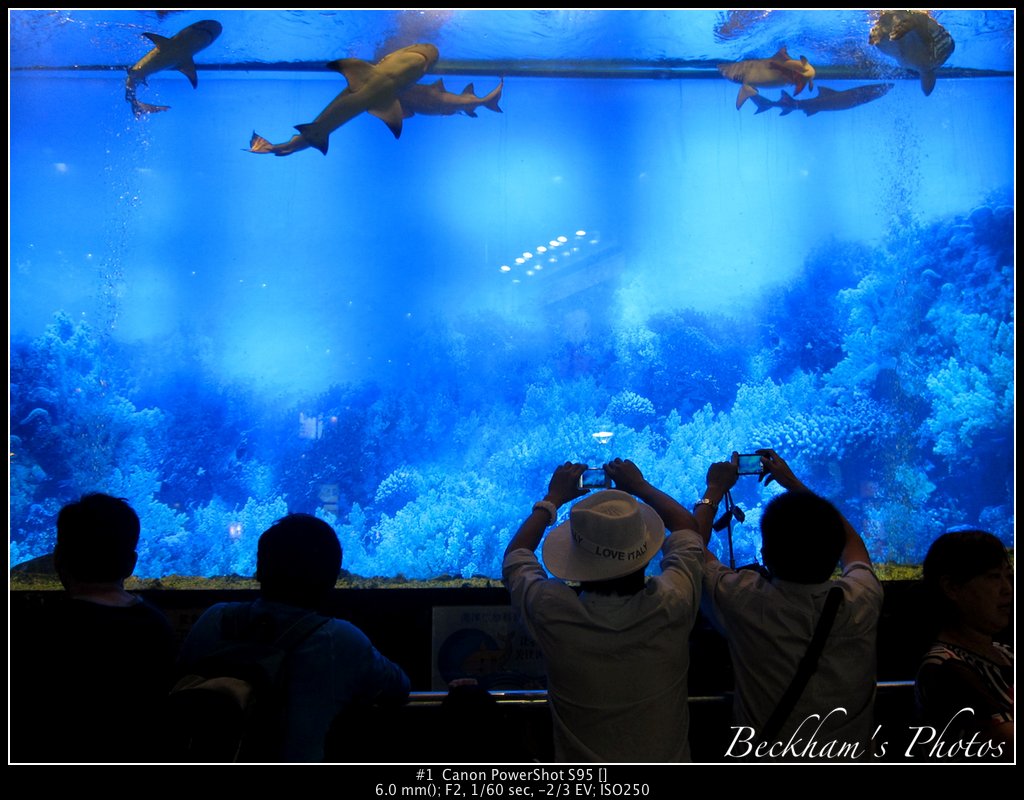 Aquarium.jpg