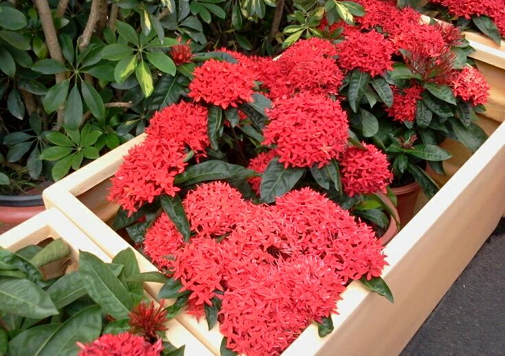 2012-06-27 15.12.14-1.jpg