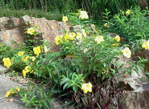 2012-06-27 17.09.17-1.jpg