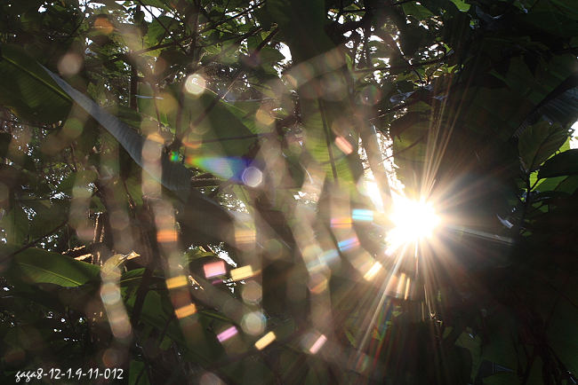 蜘 蛛 網 上 的 光 譜6.jpg