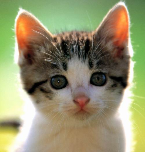 lookatyou.jpg