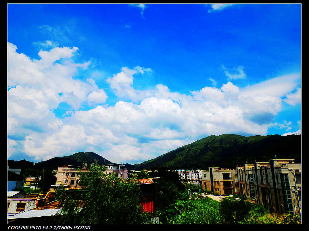 DSCN1337.jpg