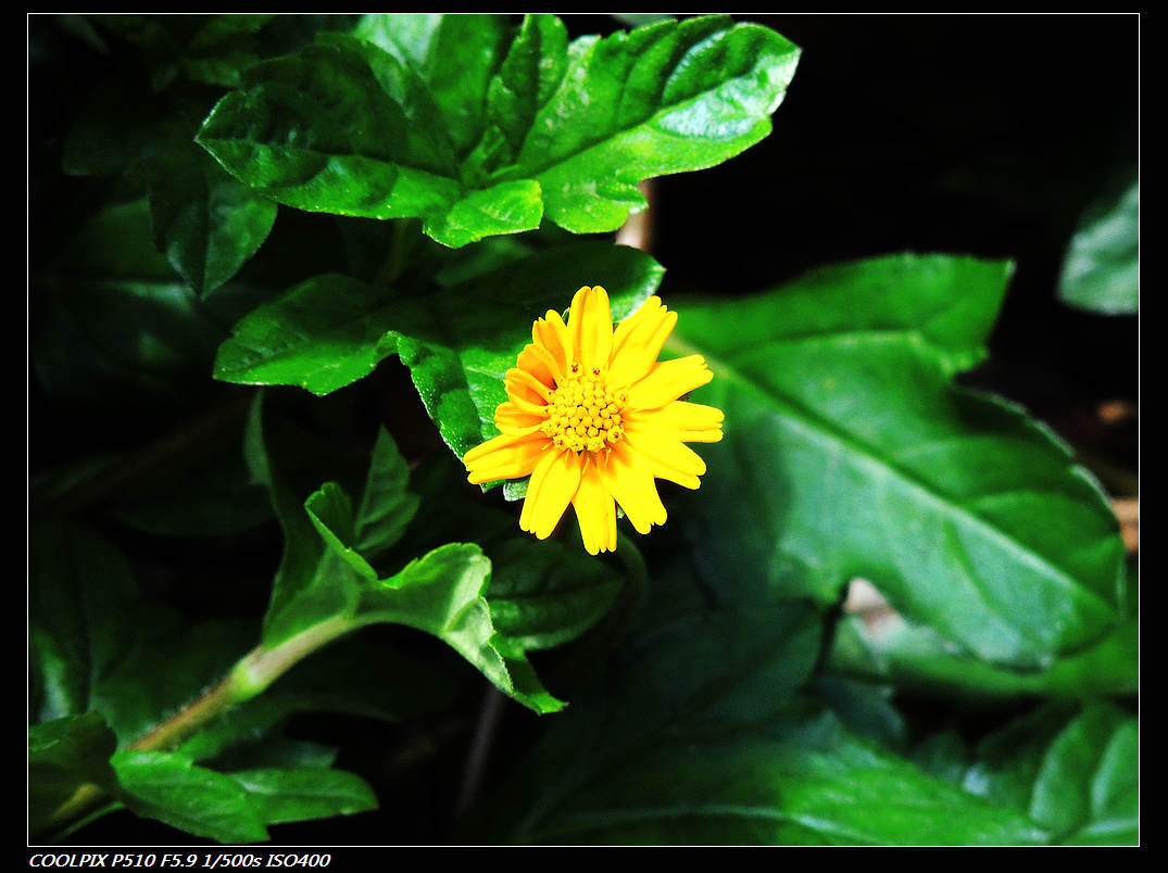 DSCN1357.jpg