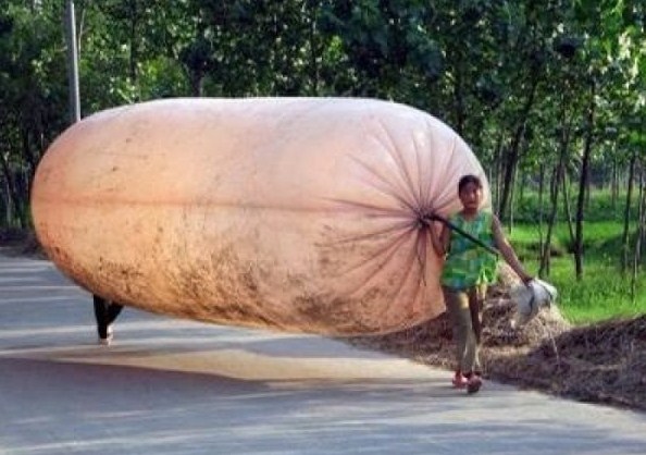 冇柴偷, 汔都啱.jpg