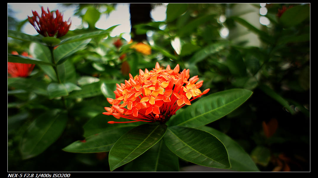 DSC04172.jpg