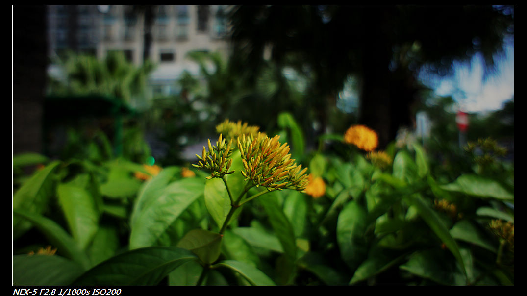 DSC04176.jpg