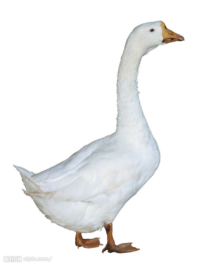 20111201114106463.jpg