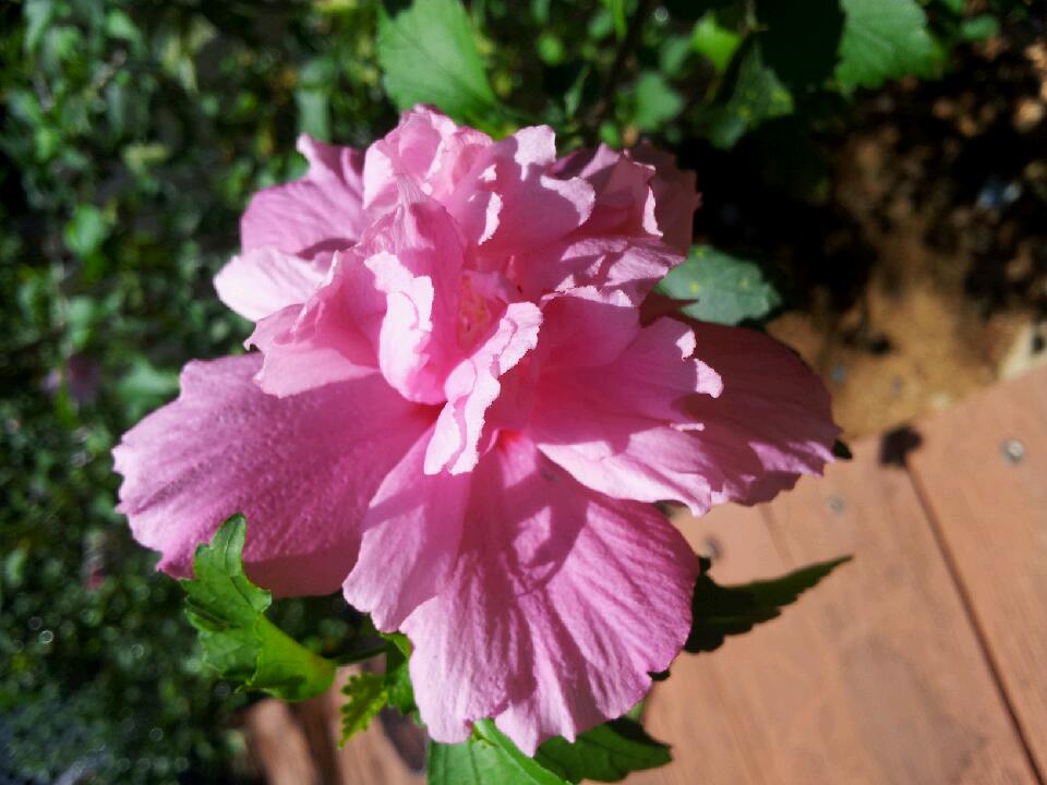 20120712_121934.jpg