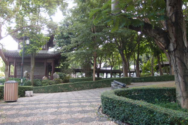 P7191334.JPG