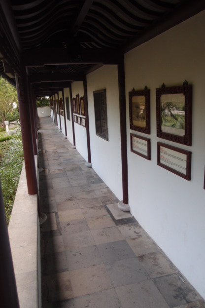 P7191347.JPG