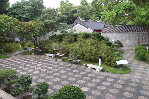 P7191381.JPG