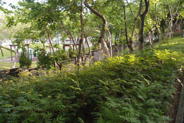 P7191395.JPG