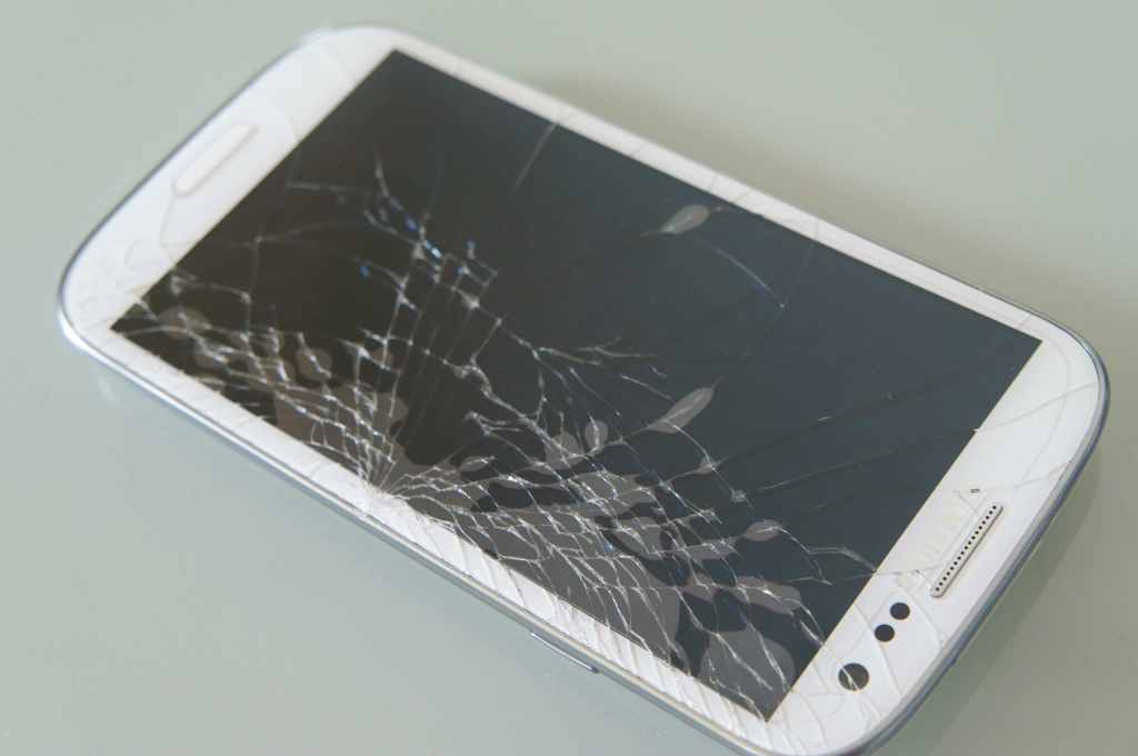 DSC05082 (1024x680).jpg