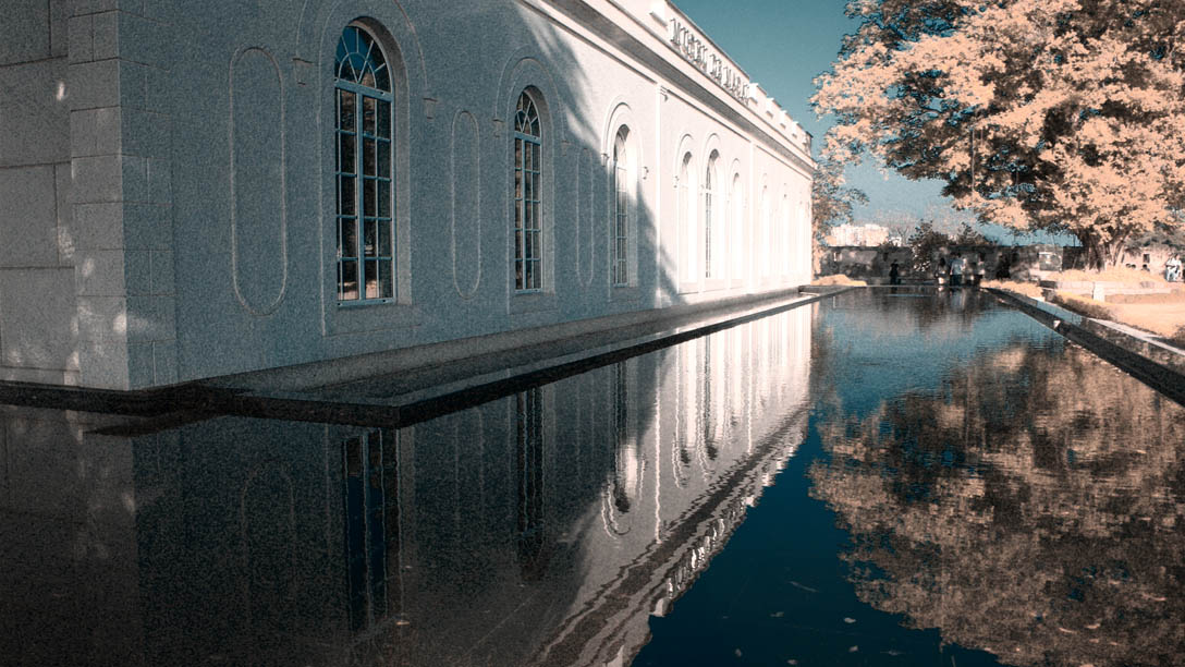 sP1050279ir.jpg