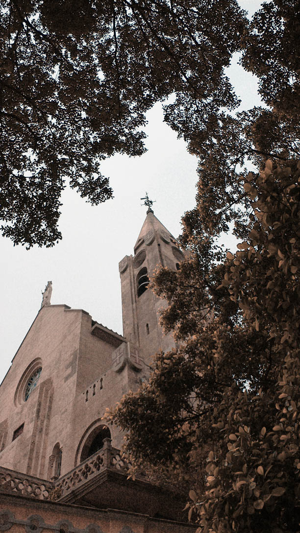 sP1050389ir.jpg