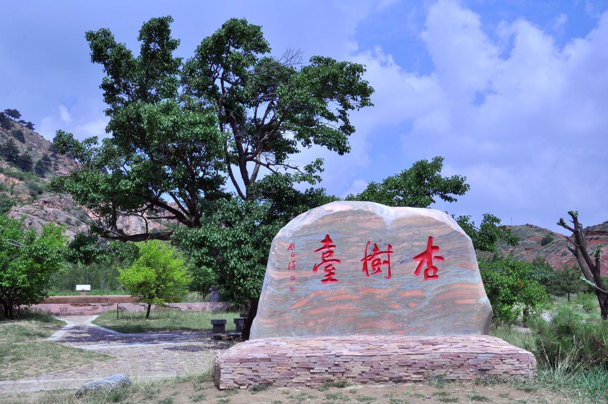 DSC_3045.jpg