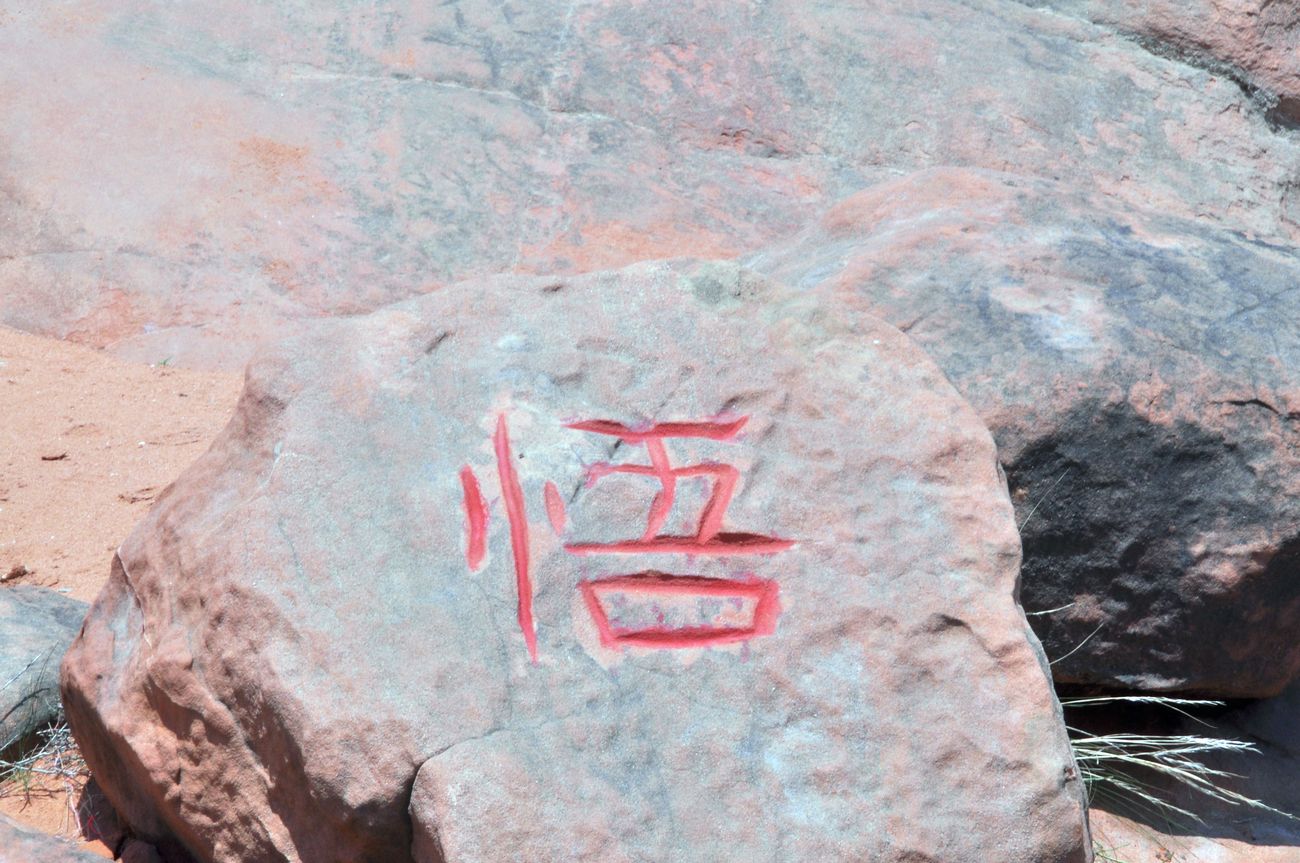 DSC_3117.jpg